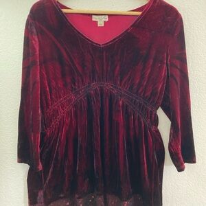 Live & Let Live burgundy Velvet mini dress whimsigoth witchy holidays szPL